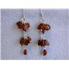 Image 1 : Dangling Amber Earrings