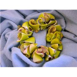 Shell Bracelet in Dyed Lime Color