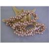 Image 3 : Fresh Water Pearl Necklace