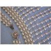 Image 3 : Pearl Necklace