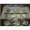 1981 US MINT SET (UNC) P/D/S (WITH ENVELOPE)