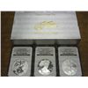 Image 1 : 2006 AMERICAN EAGLE 20TH ANNIVERSARY SILVER SET