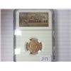 Image 1 : 2009 LINCOLN BIRTH & CHILDHOOD NGC BU