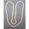 Image 1 : IVORY NECKLACE