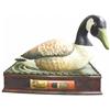 Image 1 : Kynoch & Co. Canadian Goose Decoy Store Display