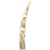 Image 1 : Scrimshaw Ivory Tusk