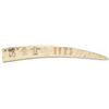 Image 1 : Scrimshaw Ivory Tusk
