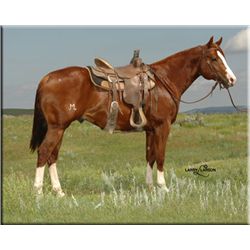 One Smart Frenchman - 09 Chestnut AQHA Stallion