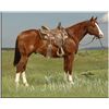 Image 1 : One Smart Frenchman - 09 Chestnut AQHA Stallion