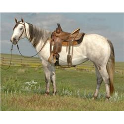 Frenchmans Bo Shakem - 08 GR AQHA Mare