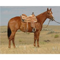 Six French Belles - 09 Chestnut AQHA Mare
