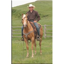 Firewater San - 06 Palomino AQHA Gelding