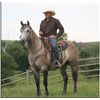 Image 1 : Joak Pep San - 06 GR AQHA Gelding