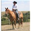 Image 1 : Mr Sonny Sanbar - 05 Red Dun AQHA Gelding