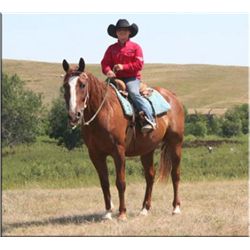 JR Colord Lynx - 00 SO APHA Breeding Stock Gelding