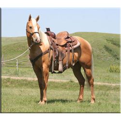 Nickie Flit - 08 Palomino AQHA Mare