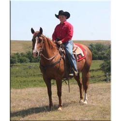 Sak Em Shanook - 01 SO AQHA Mare