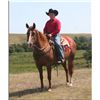 Image 1 : Sak Em Shanook - 01 SO AQHA Mare