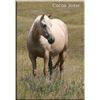 Image 1 : Cocoa Jozie - 00 Palomino AQHA Mare