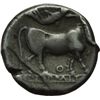 Image 2 : Mondo Greco.  Italia Greca. Campania, Neapolis.  Didracma, 325-241 a.C. D/ Testa di ninfa a destra. 