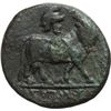 Image 2 : Mondo Greco.  Italia Greca. Campania, Neapolis.  AE 16mm. 320-280 a.C. D/ Testa laureata di Apollo a