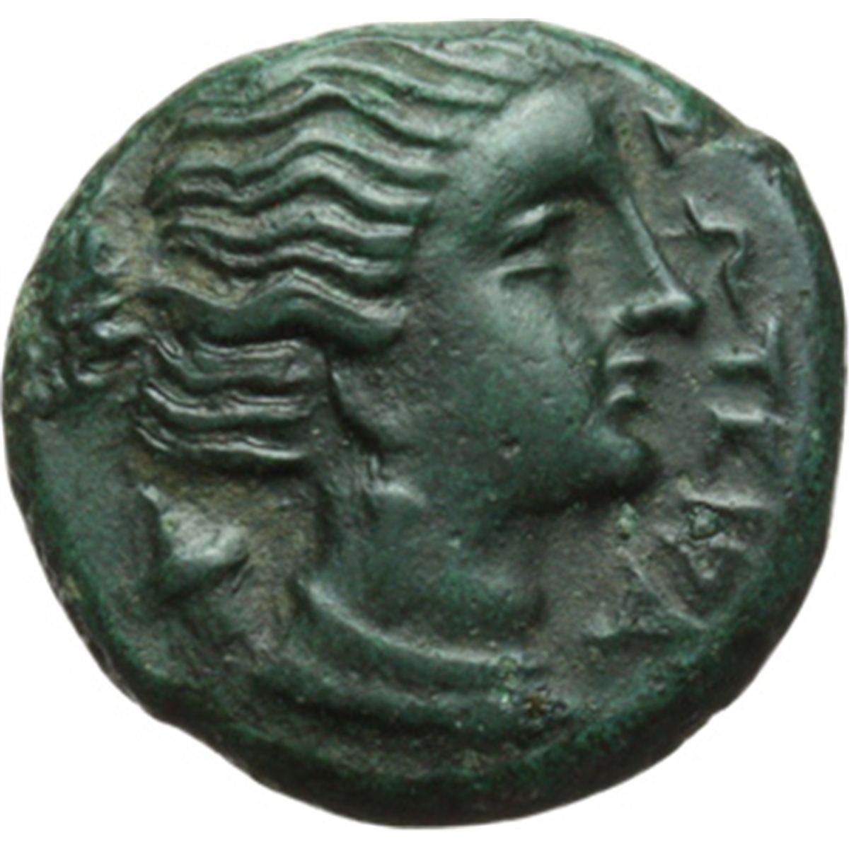 Mondo Greco. Sicilia. Siracusa. Agatocle (IV periodo 295289 a.C). AE