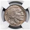 Image 2 : 1937-D 3 Leg Buffalo Nickel NGC MS-61