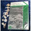 Image 1 : 12. "Your Future in Oceanography" Hardbound book with