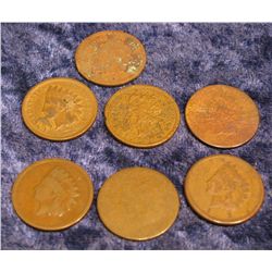 637. (7) No date Indian Head Cents.