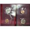 Image 1 : 1240. 1999 P & D Susan B. Anthony Uncirculated Coin Set.