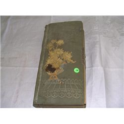 great, civil war era (Victorian) photo album with loads of photos, family & kids ect (loads)