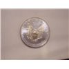 Image 2 : Colorized US .999 Fine Silver Eagle