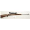 Image 2 : Winchester model 70 pre-64 in 7mm caliber,  serial #8279. Standard grade. The rifle  remains in fair