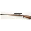 Image 3 : Winchester model 70 pre-64 in 7mm caliber,  serial #8279. Standard grade. The rifle  remains in fair