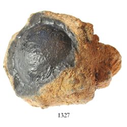 Encrusted "8-pound" cannonball.