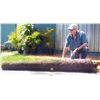 Image 1 : Large iron cannon from the Populo of the Spanish 1733 Fleet (Florida Keys).