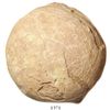 Image 1 : Dinosaur egg, 100 million years old (Cretaceous period).