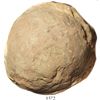 Image 1 : Dinosaur egg, 100 million years old (Cretaceous period).