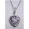 Women's Heart Shaped Pendant w/ Necklace