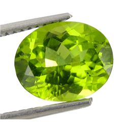 3.17ct Natural Lustrous Oval Green Peridot (GEM-29041)