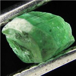 0.74ct Blue Green Cuprian Tourmaline Facet Rough  (GEM-24710C)