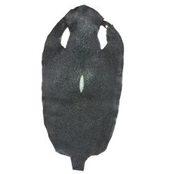 Large Stingray Hide Pelt Skin  (CLB-345)