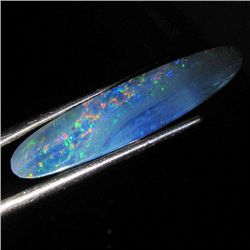 4.7ct Australian Black Opal Doublet Full Fire (GEM-36505)