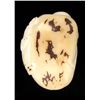 Image 2 : Chinese Handcarved Tagua Ivory Nut (CLB-725)