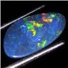 1.52ct Australian Black Opal Doublet Full Fire (GEM-36109)