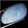 7.75ct Australian Black Opal Doublet Full Fire (GEM-36186)