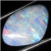 4.05ct Australian Black Opal Doublet Full Fire (GEM-36170)