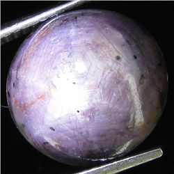 18.00ct Natural Star Ruby Well Patterned  (GEM-32091)