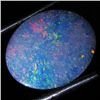 1.91ct Australian Black Opal Doublet Full Fire (GEM-36082)