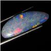 3.5ct Australian Black Opal Doublet Full Fire (GEM-36210)